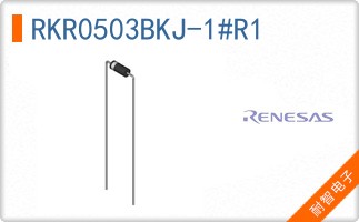 RKR0503BKJ-1#R1