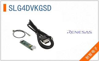 SLG4DVKGSD