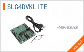 SLG4DVKLITE
