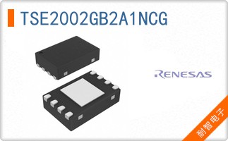 TSE2002GB2A1NCG