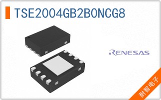 TSE2004GB2B0NCG8