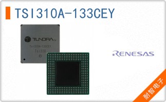 TSI310A-133CEY