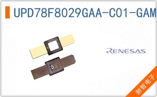 UPD78F8029GAA-C01-GAM-C-G