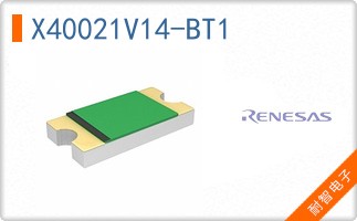 X40021V14-BT1