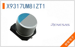 X9317UM8IZT1