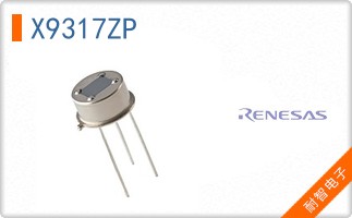 X9317ZP