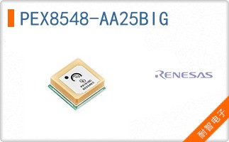 PEX8548-AA25BIG